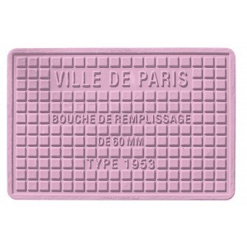 Streetcover 'Parijs' 30x45 cm - Lila